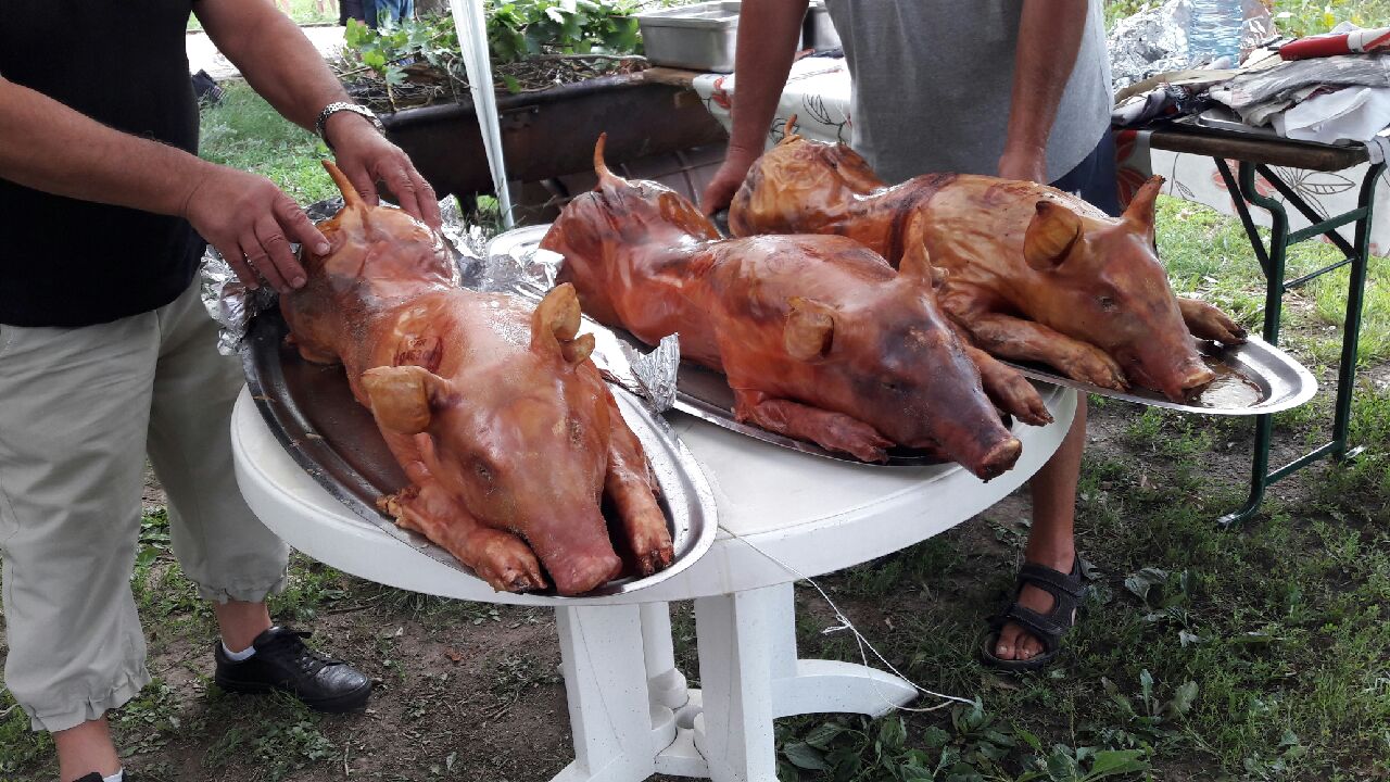 Photo du club de pétanque la boule loisirs de messein  - 246